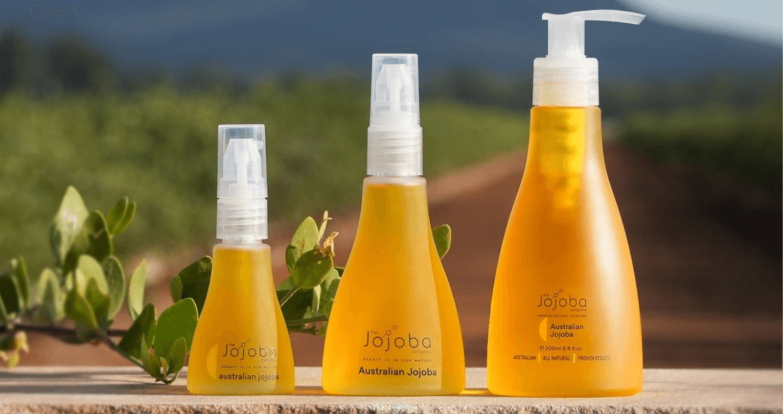 The Jojoba Company Jojoba Oil