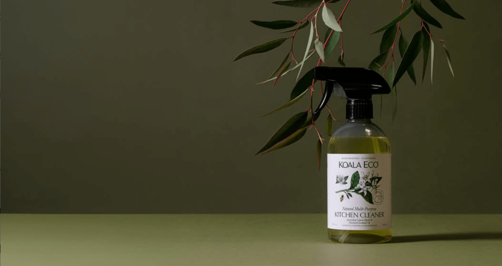 Koala Eco kitchen cleaner