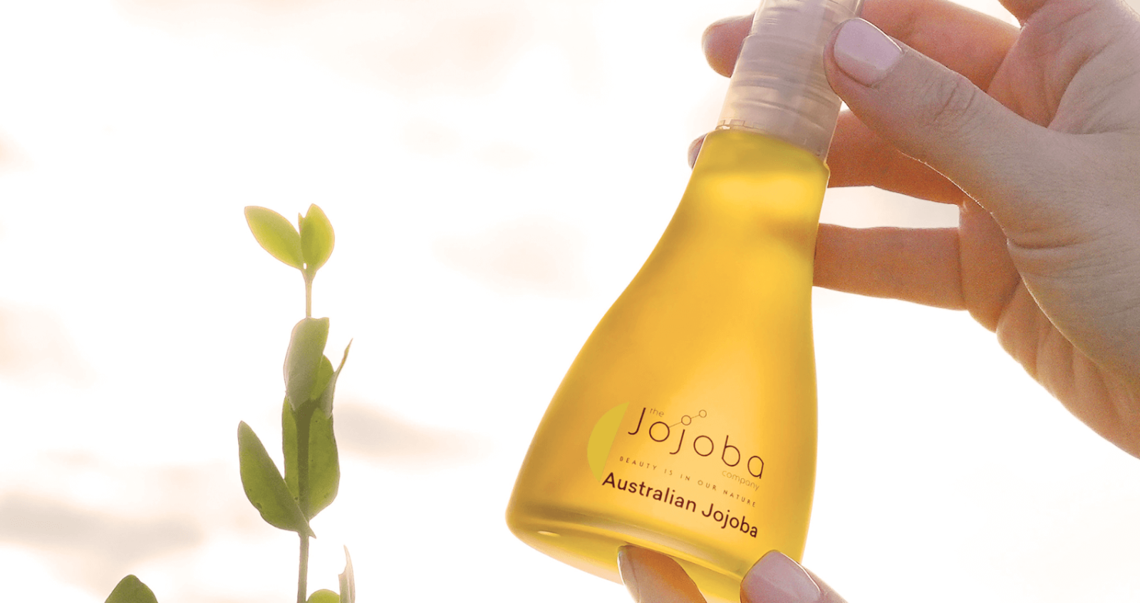 The Jojoba Company Australian Jojoba Oil