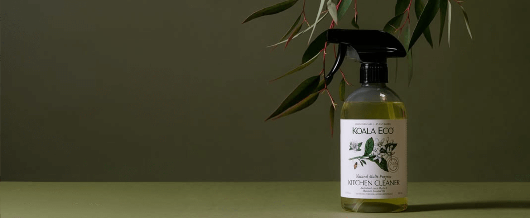 Blog - Top eco-friendly products to try in Austral