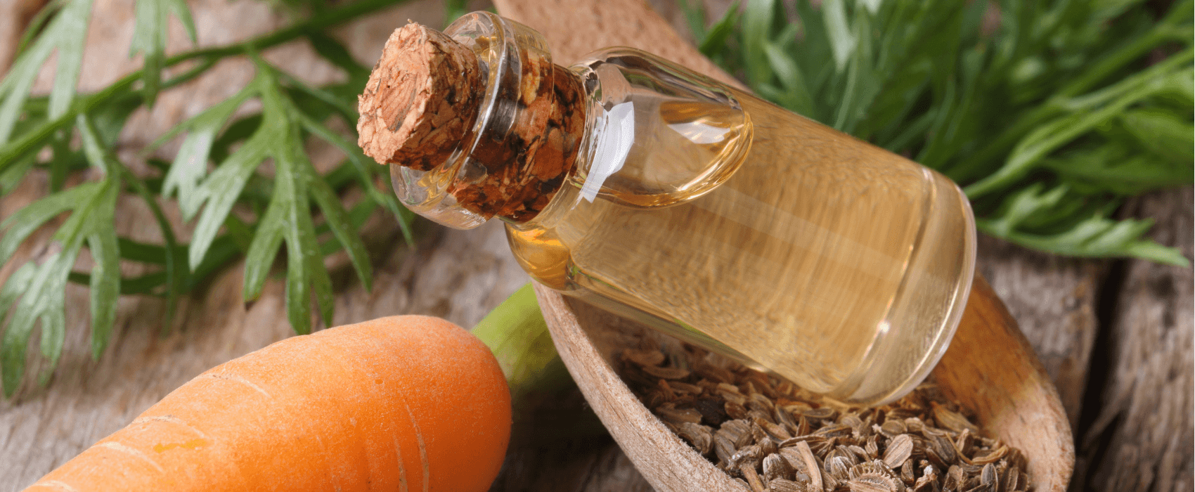 Blog - Benefits of carrot seed oil for skin